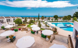 The Hotel Olive Tree